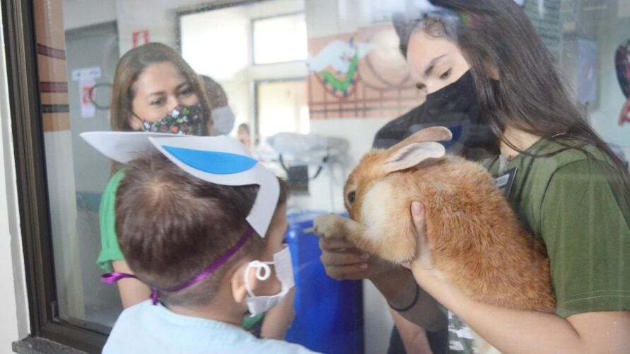 Imagem ilustrativa da notícia: 'Coelhinho da Páscoa' visita crianças em hospital no Pará